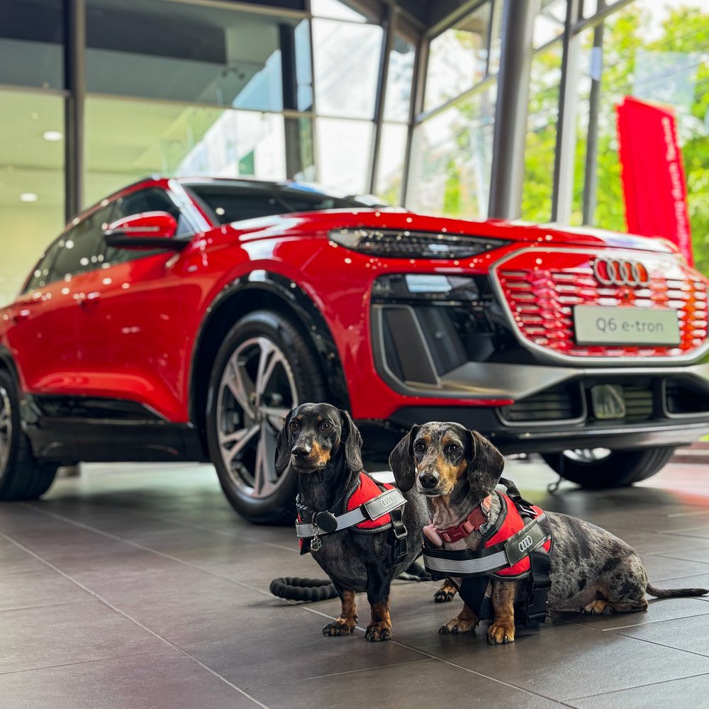 Theo y su hermano con pecheras de Audi junto al Audi Q6 e-tron en la concesionaria