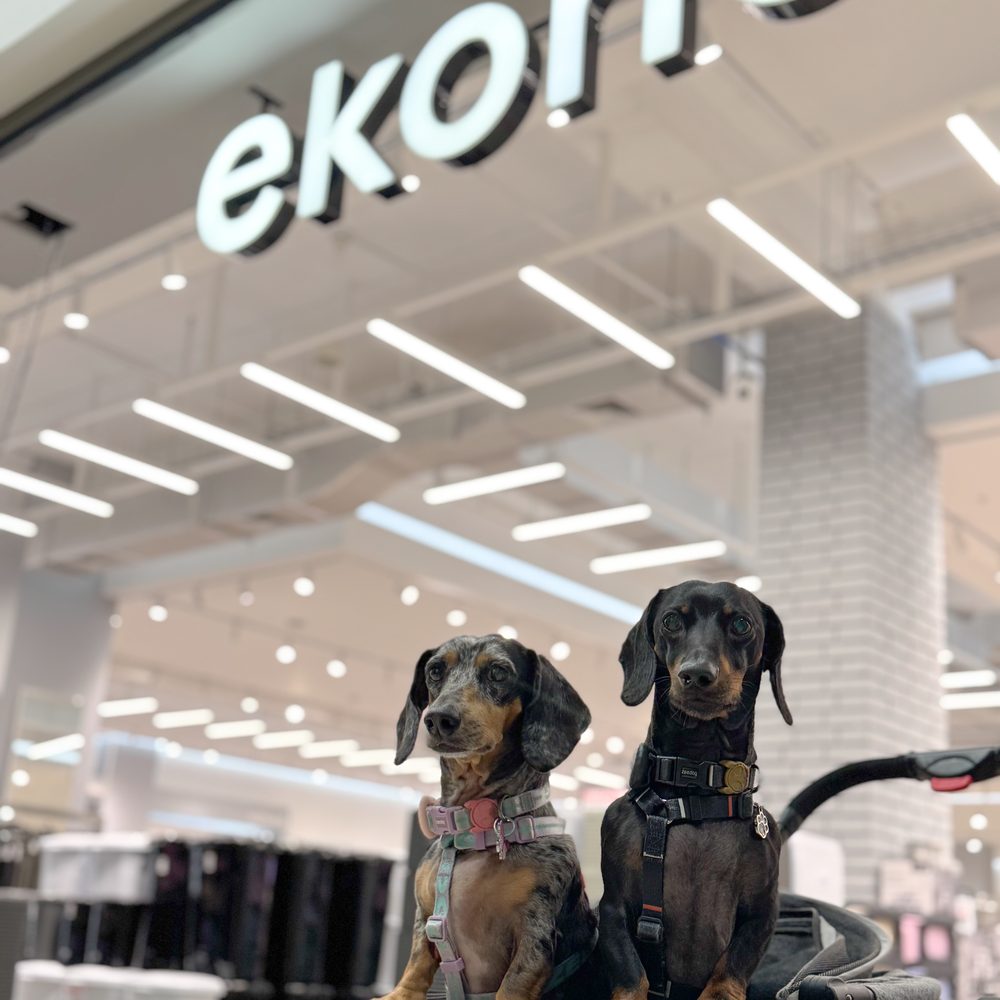 Theo y su hermano bajo el letrero de la tienda Ekono