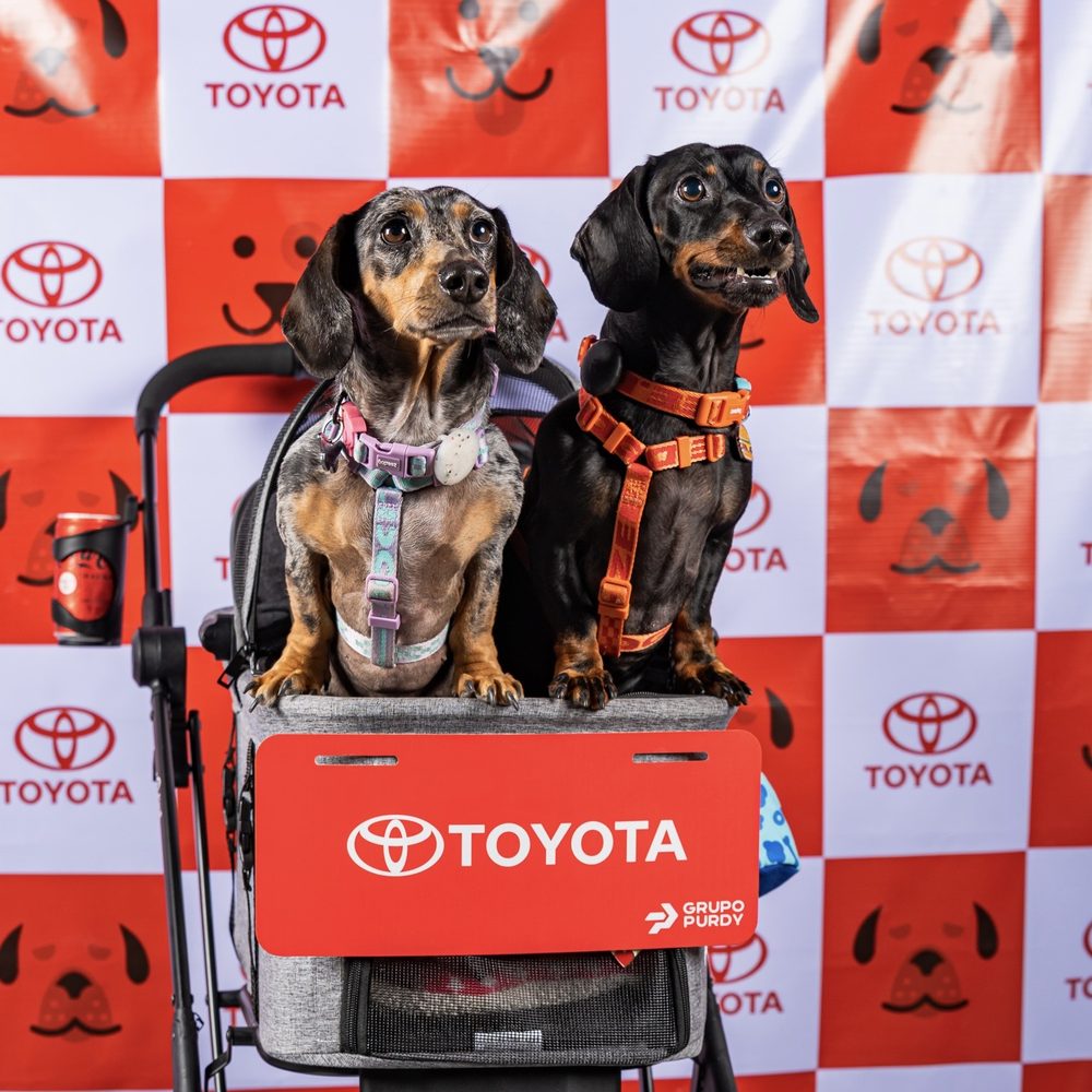 Theo y su hermano en el evento Expomóvil con el logo de Toyota de fondo