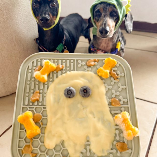 Theo y su hermano disfrazados esperando una receta casera para perros con forma de fantasma