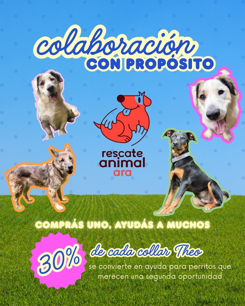 Colaboración con propósito: perritos rescatados por Rescate Animal ARA y el anuncio de que el 30% de cada collar Theo se dona a la asociación