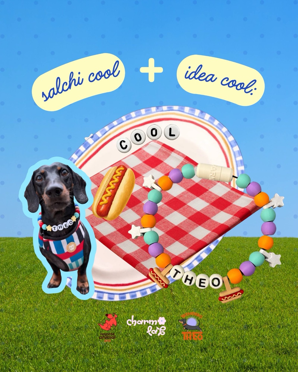 Theo, el dachshund, usando su collar Hotdog by Theo junto al collar con charms de hotdog, estrellas y su nombre sobre un mantel de picnic