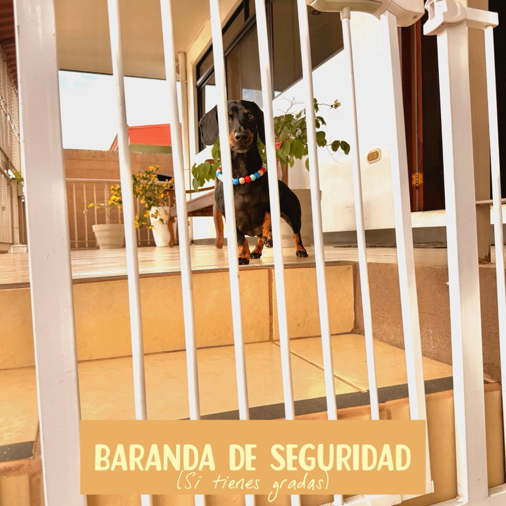 Theo detrás de una baranda de seguridad para bloquear el acceso a las gradas