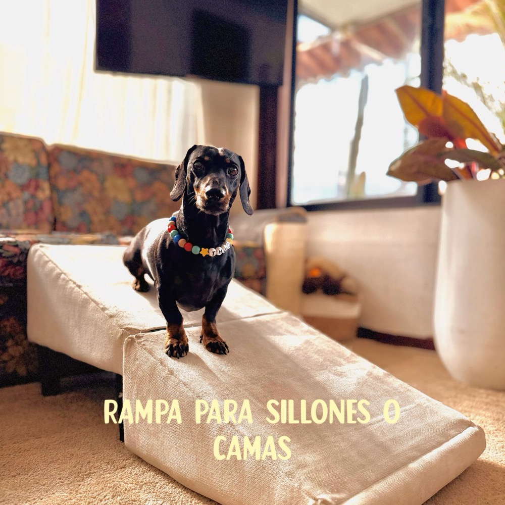Theo subiendo por una rampa hacia el sillón